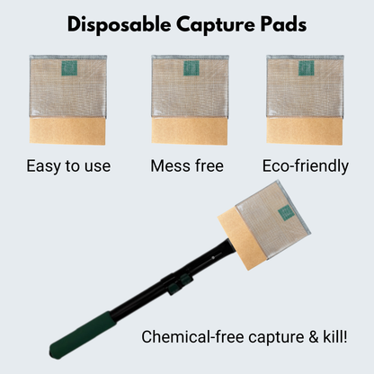Spider Slayor™ Capture Pads (box of 5)